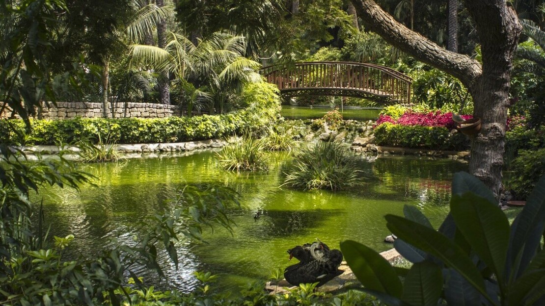 Hotel Botanico & The Oriental Spa Garden